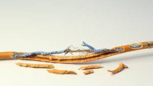 shutterstock_350020583